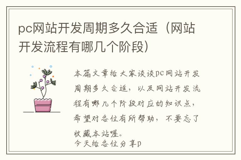 pc网站开发周期多久合适(网站开发流程有哪几个阶段)