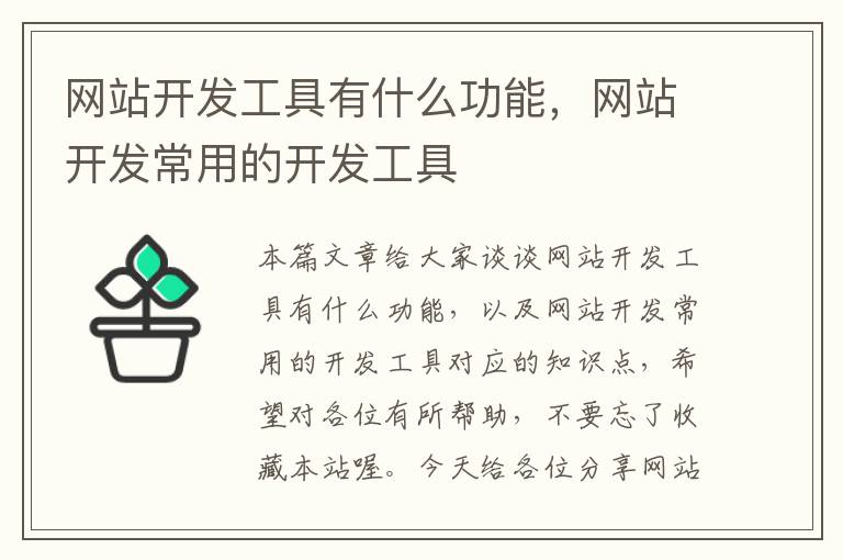 网站开发工具有什么功能,网站开发常用的开发工具