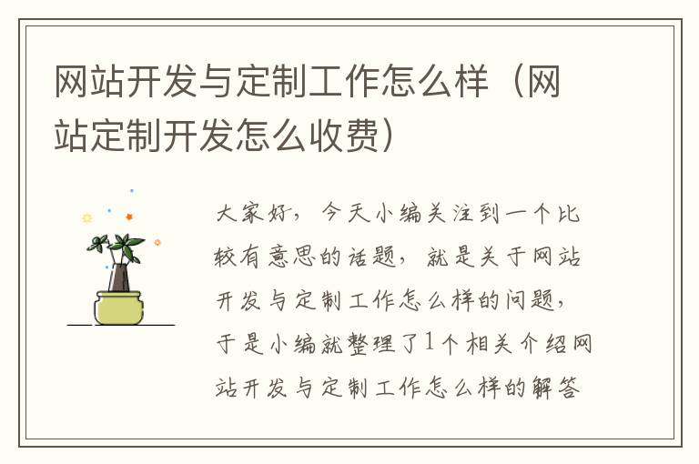 网站开发与定制工作怎么样(网站定制开发怎么收费)