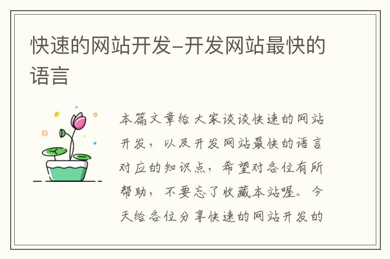 快速的网站开发-开发网站最快的语言