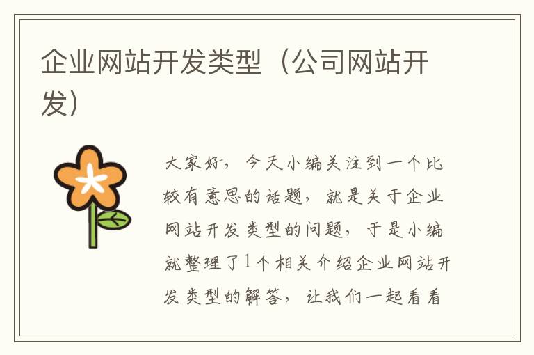企业网站开发类型(公司网站开发)