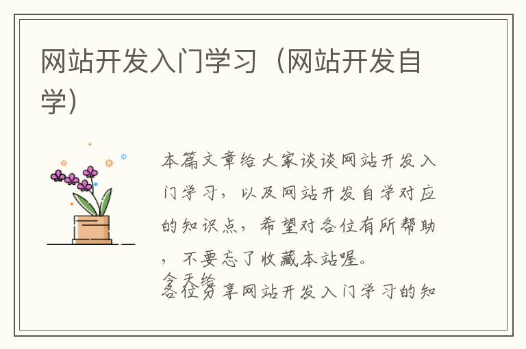 网站开发入门学习(网站开发自学)