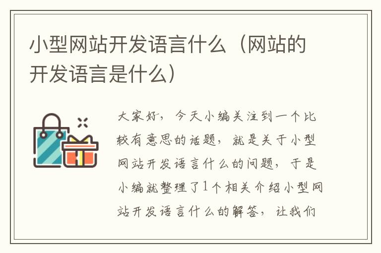 小型网站开发语言什么(网站的开发语言是什么)