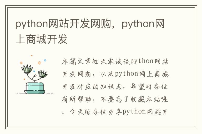 python网站开发网购,python网上商城开发