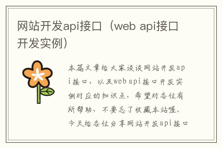 网站开发api接口(web api接口开发实例)