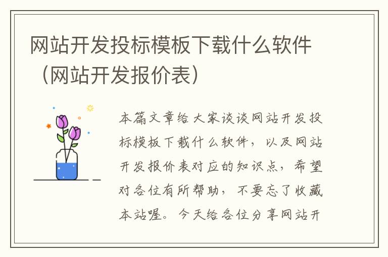 网站开发投标模板下载什么软件(网站开发报价表)