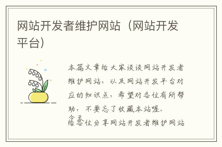 网站开发者维护网站(网站开发平台)