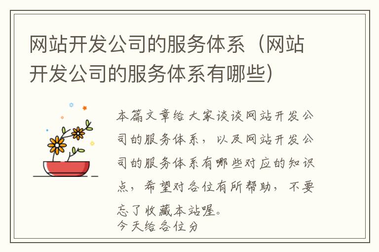 网站开发公司的服务体系(网站开发公司的服务体系有哪些)