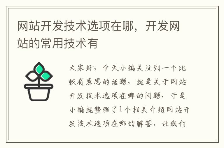 网站开发技术选项在哪,开发网站的常用技术有