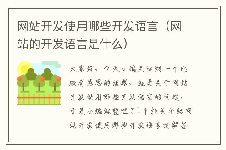 网站开发使用哪些开发语言(网站的开发语言是什么)