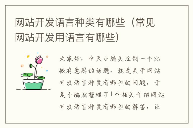 网站开发语言种类有哪些(常见网站开发用语言有哪些)