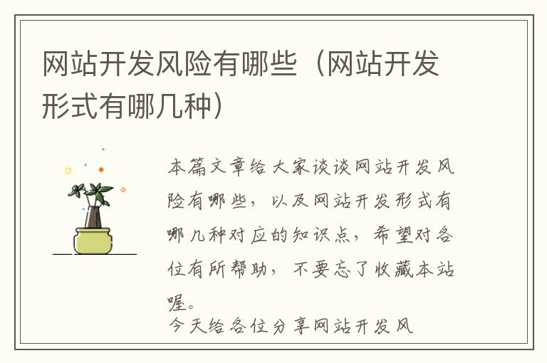 网站开发风险有哪些(网站开发形式有哪几种)